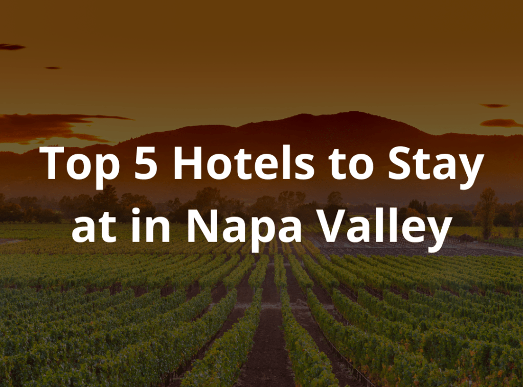 Luxury in Wine Country: Top 5 Hotels to Stay at in Napa&nbsp;Valley