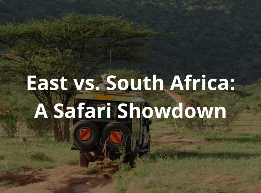 East vs. South Africa: A Safari&nbsp;Showdown