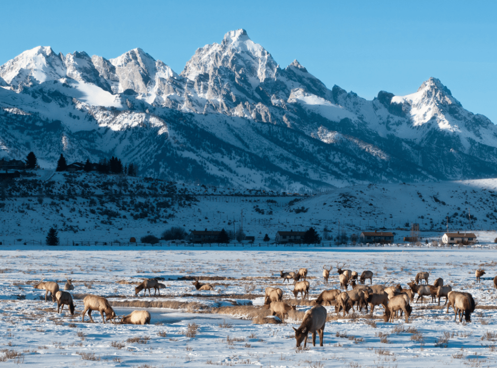 The Best Winter Getaways: From Cozy Cabins to Tropical&nbsp;Escapes